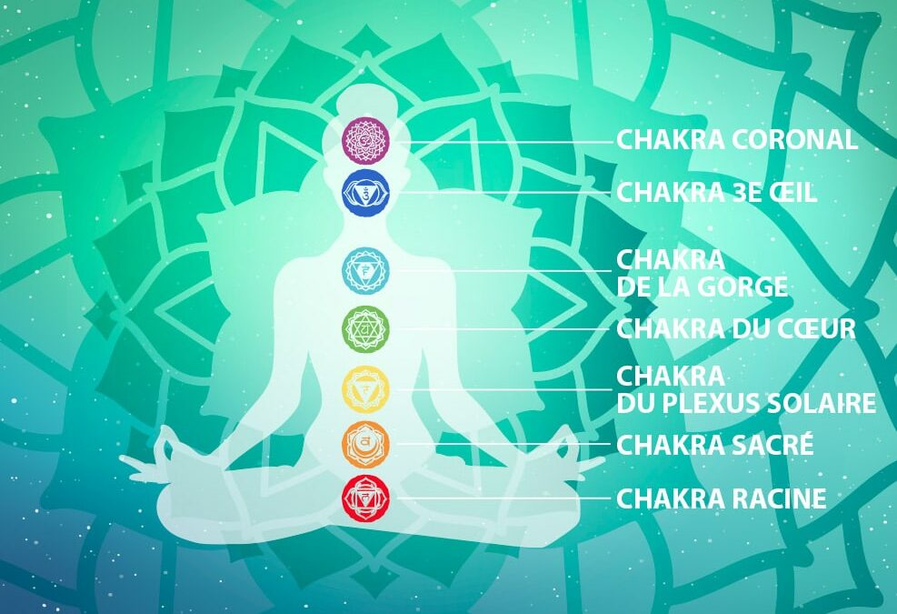 Les 7 chakras principaux