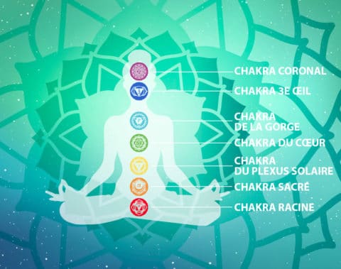 Les 7 Chakras Principaux - Pose Harmony : Il Est Temps D’appuyer Sur P ...